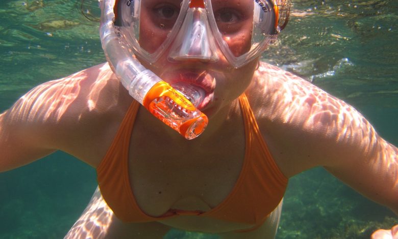 snorkel en miami - nautica y turismo